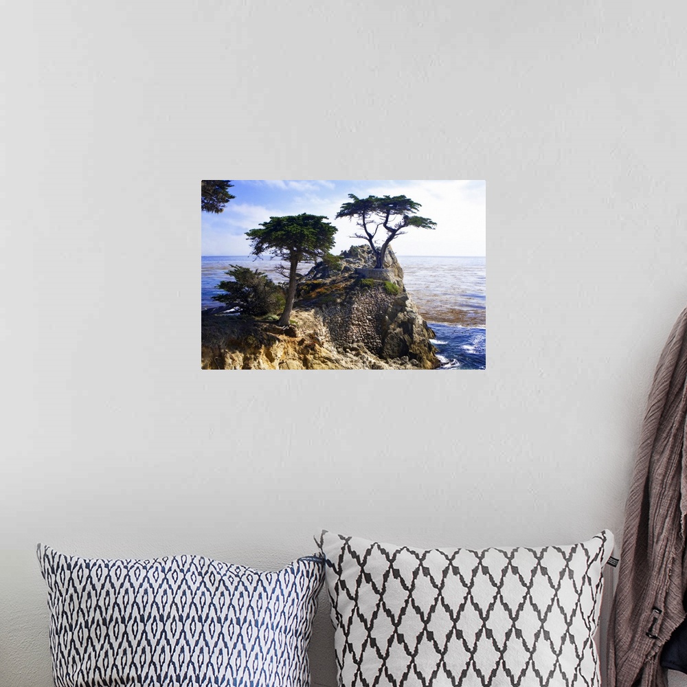 A bohemian room featuring Photograph of a solitary tree atop a cliff overlooking the water in California.