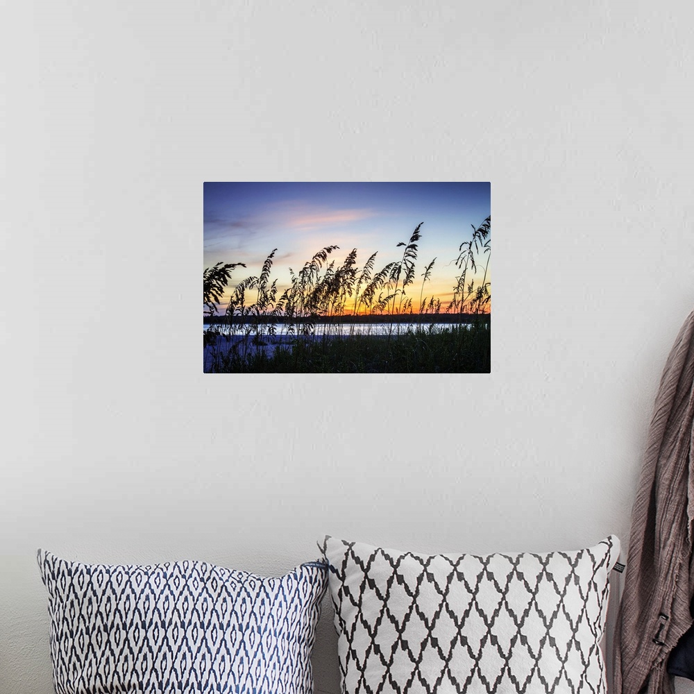 A bohemian room featuring Silhouette of beach grasses against the bright colors of the sunset sky.