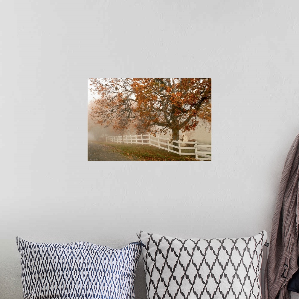A bohemian room featuring This oversized print is a photograph taken of a large tree during the autumn season behind a whit...