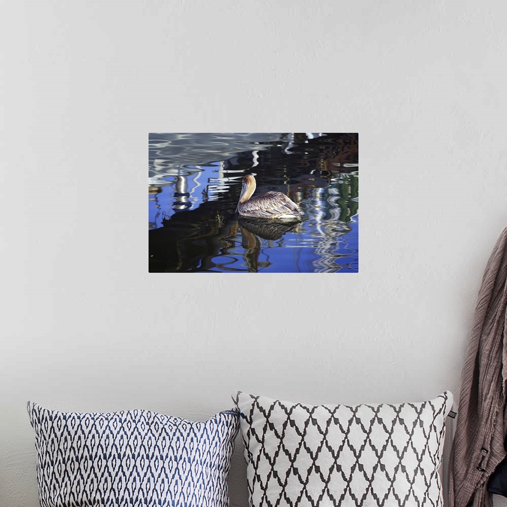 A bohemian room featuring Reflections & Pelican