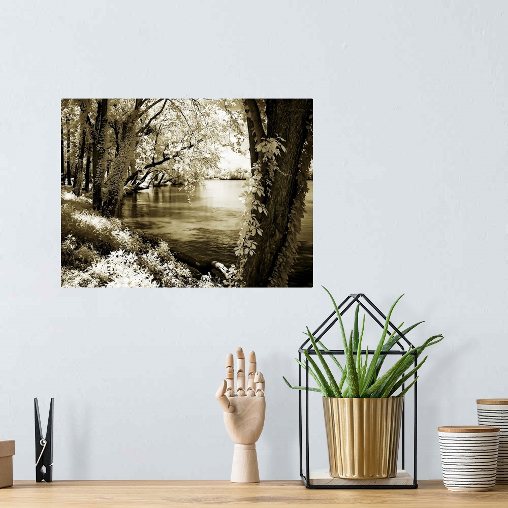 A bohemian room featuring Spring on the River 3