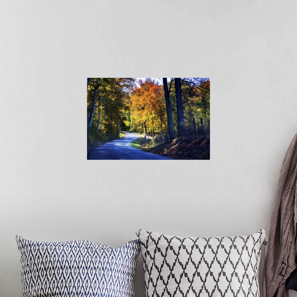 A bohemian room featuring Photograph of a cool toned twisting road lined with warm Autumn trees.