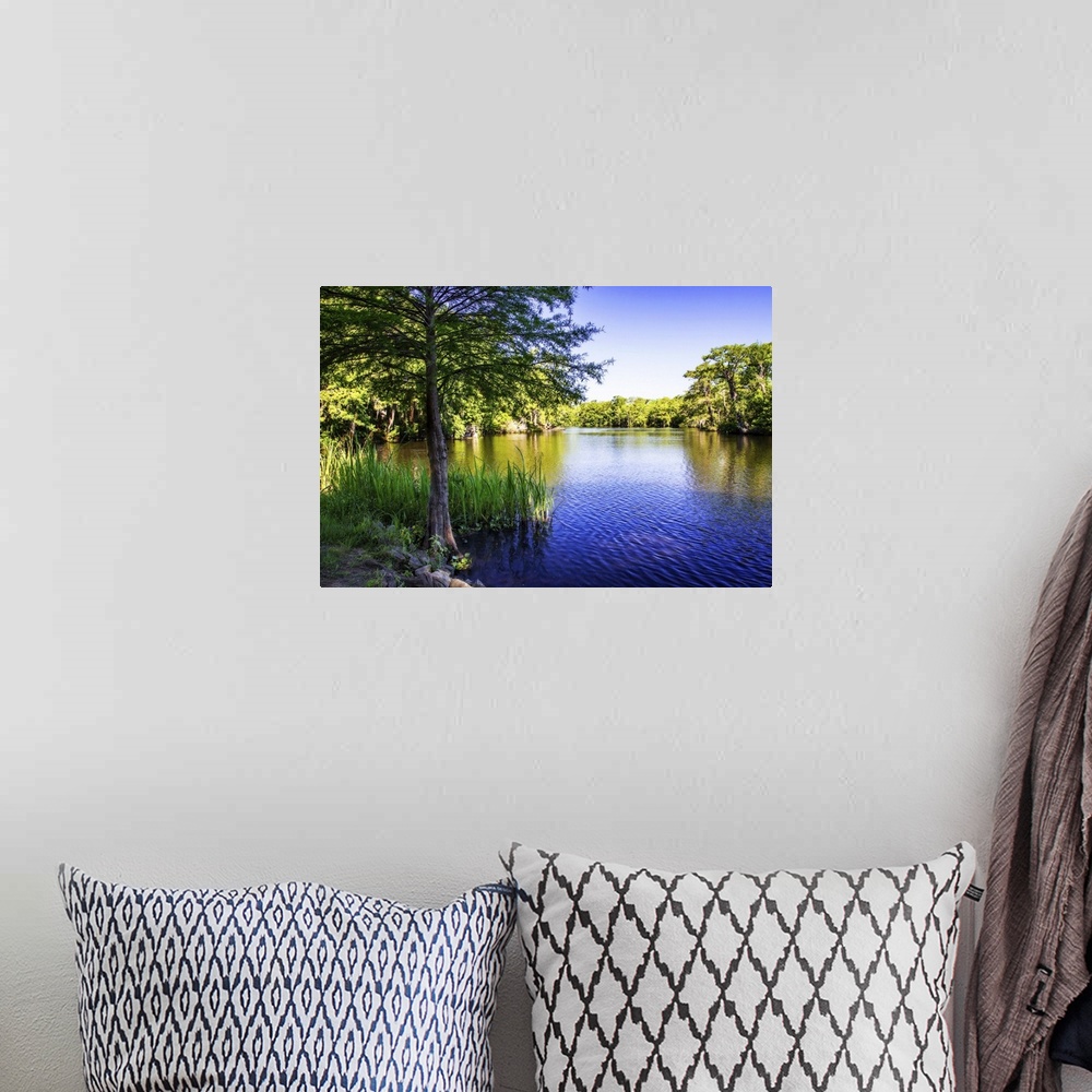 A bohemian room featuring Landscape photograph of the Waccamaw River lined with trees on a clear day.