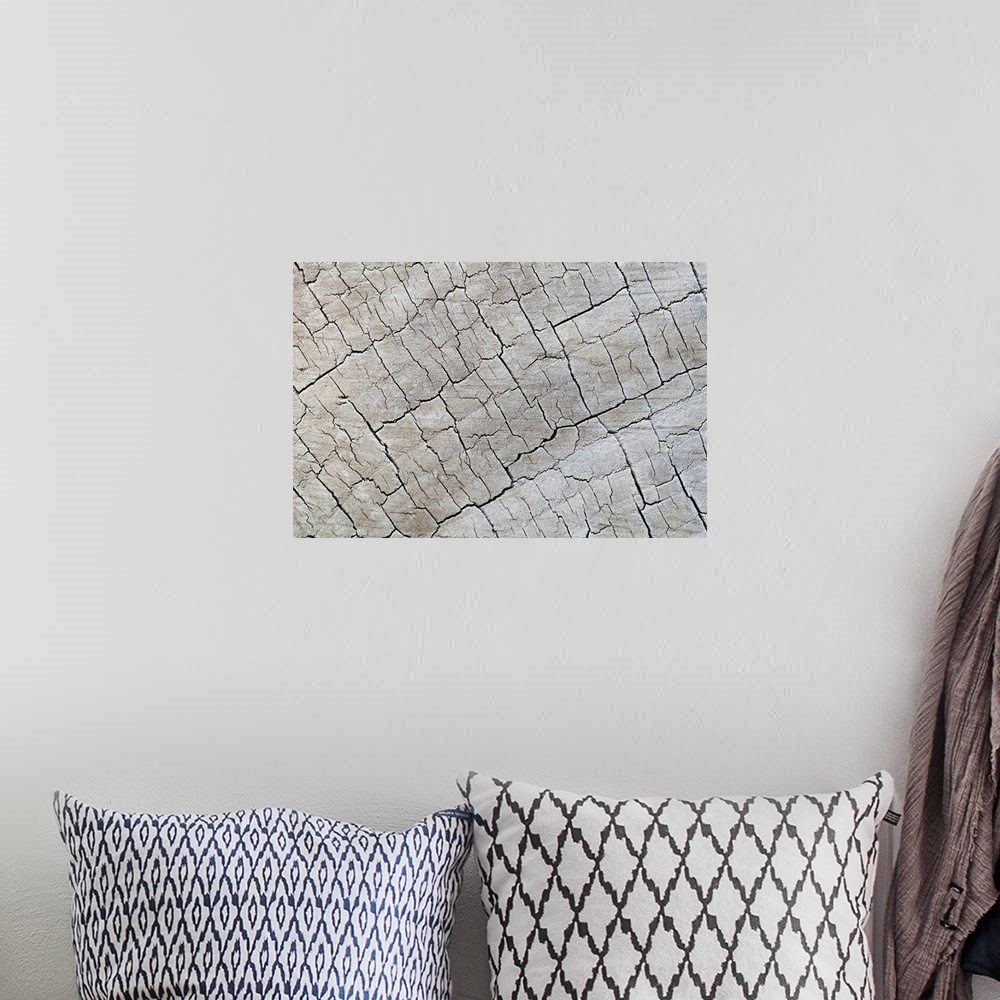 A bohemian room featuring Close up of old grey wood with an abstract pattern.