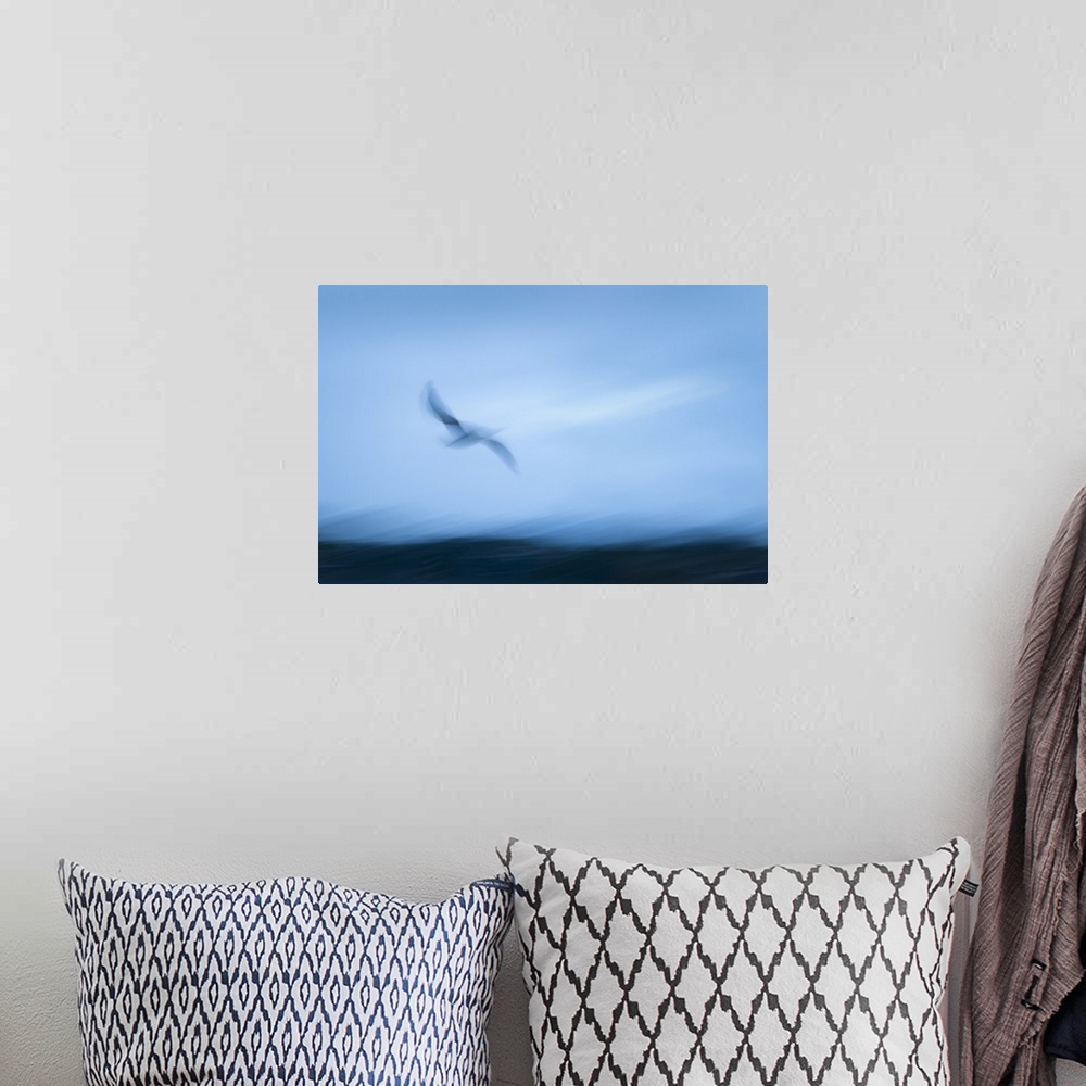 A bohemian room featuring Abstract image of seagull flying towards the sea. Image captured using intentional camera movemen...