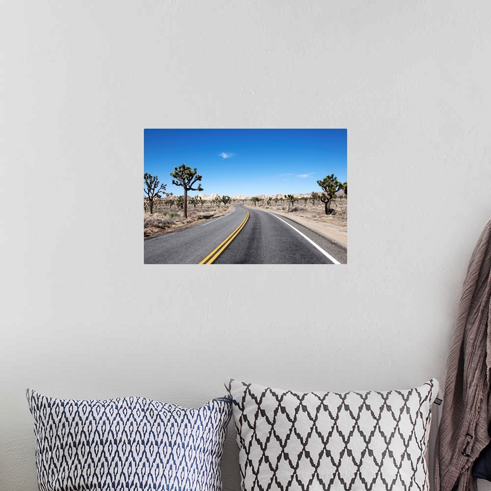 A bohemian room featuring good looking street in the middle of the dessert leading to hte horizon
