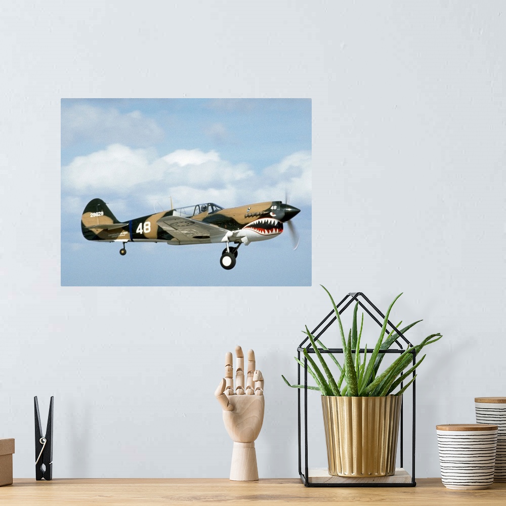 A bohemian room featuring Antique military fighter plane