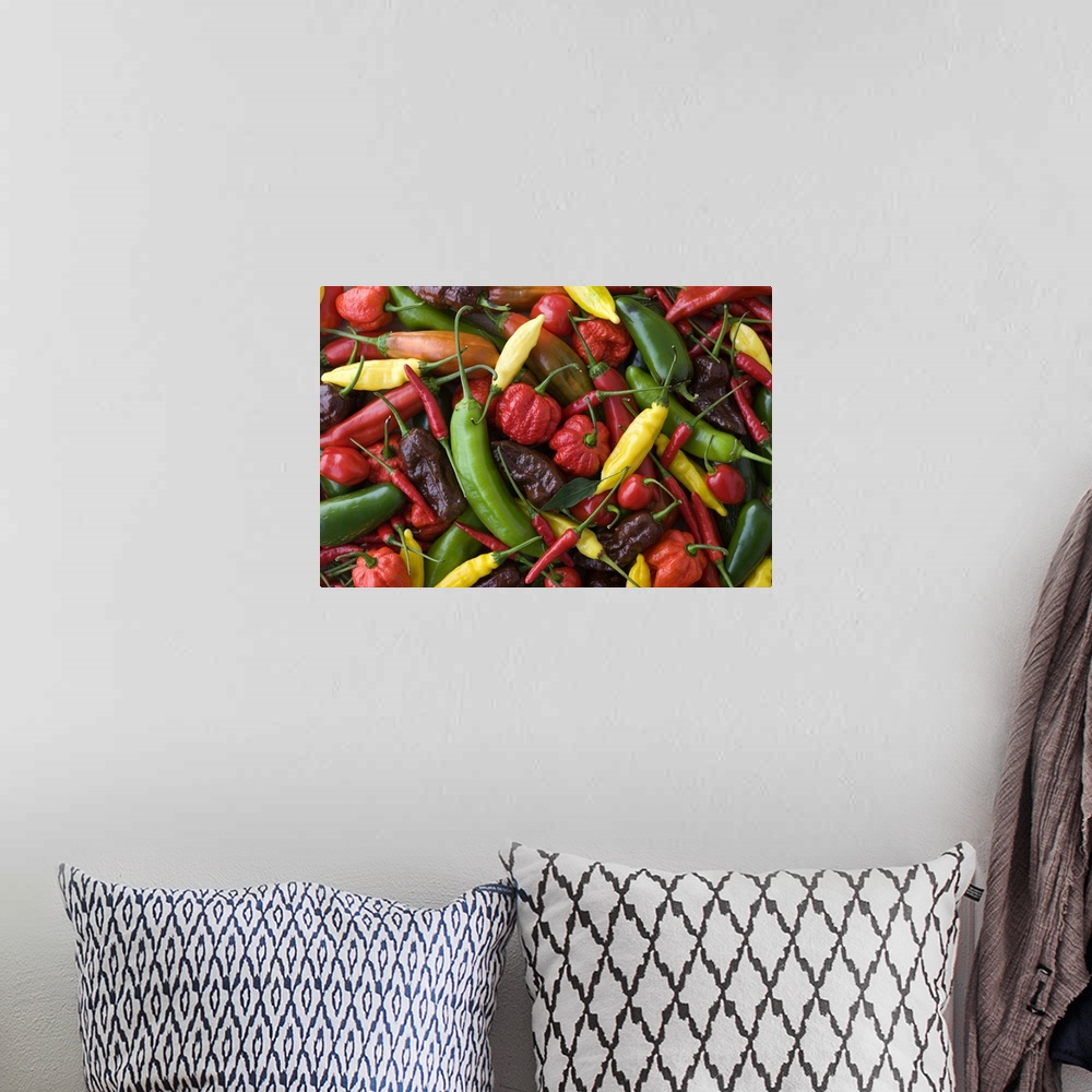 A bohemian room featuring Assorted Multicolored Chili Pepper