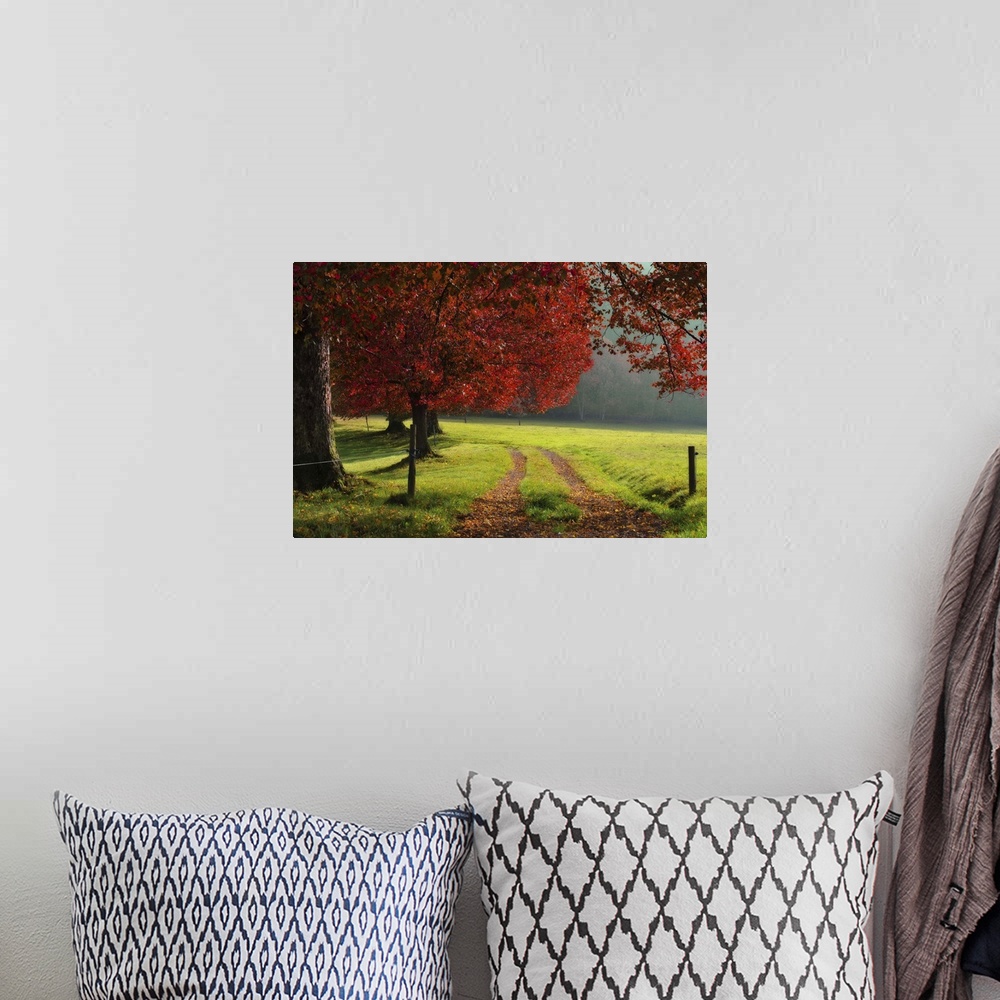 A bohemian room featuring Autumn trees in garden.