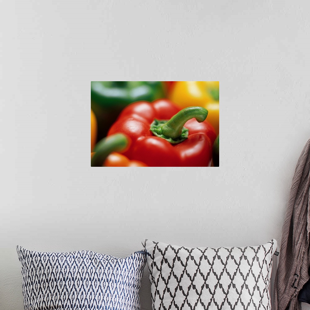 A bohemian room featuring Up-close view of various colors of peppers on canvas.