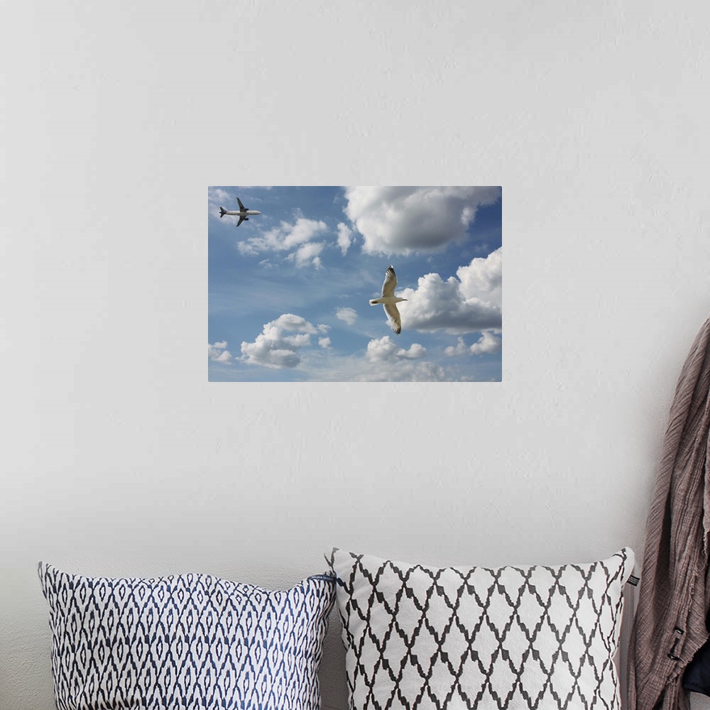 A bohemian room featuring Bird and air plane fly together against clouds in sky, New York.