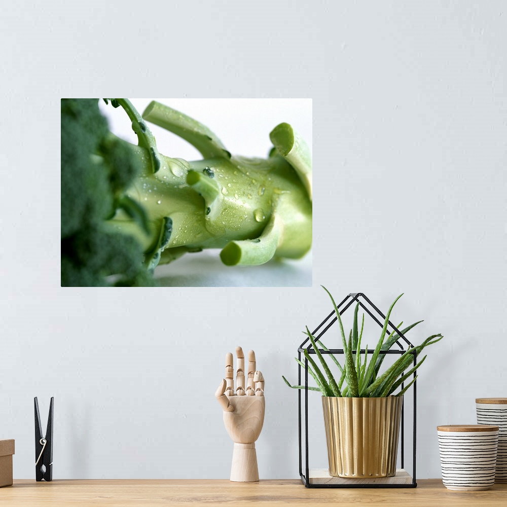 A bohemian room featuring Broccoli