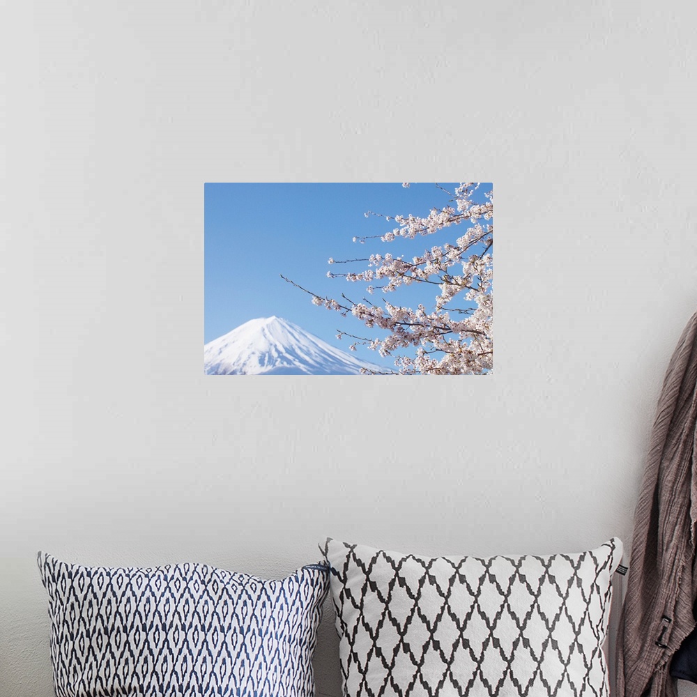 A bohemian room featuring Cherry Blossoms And Mt. Fuji, Japan