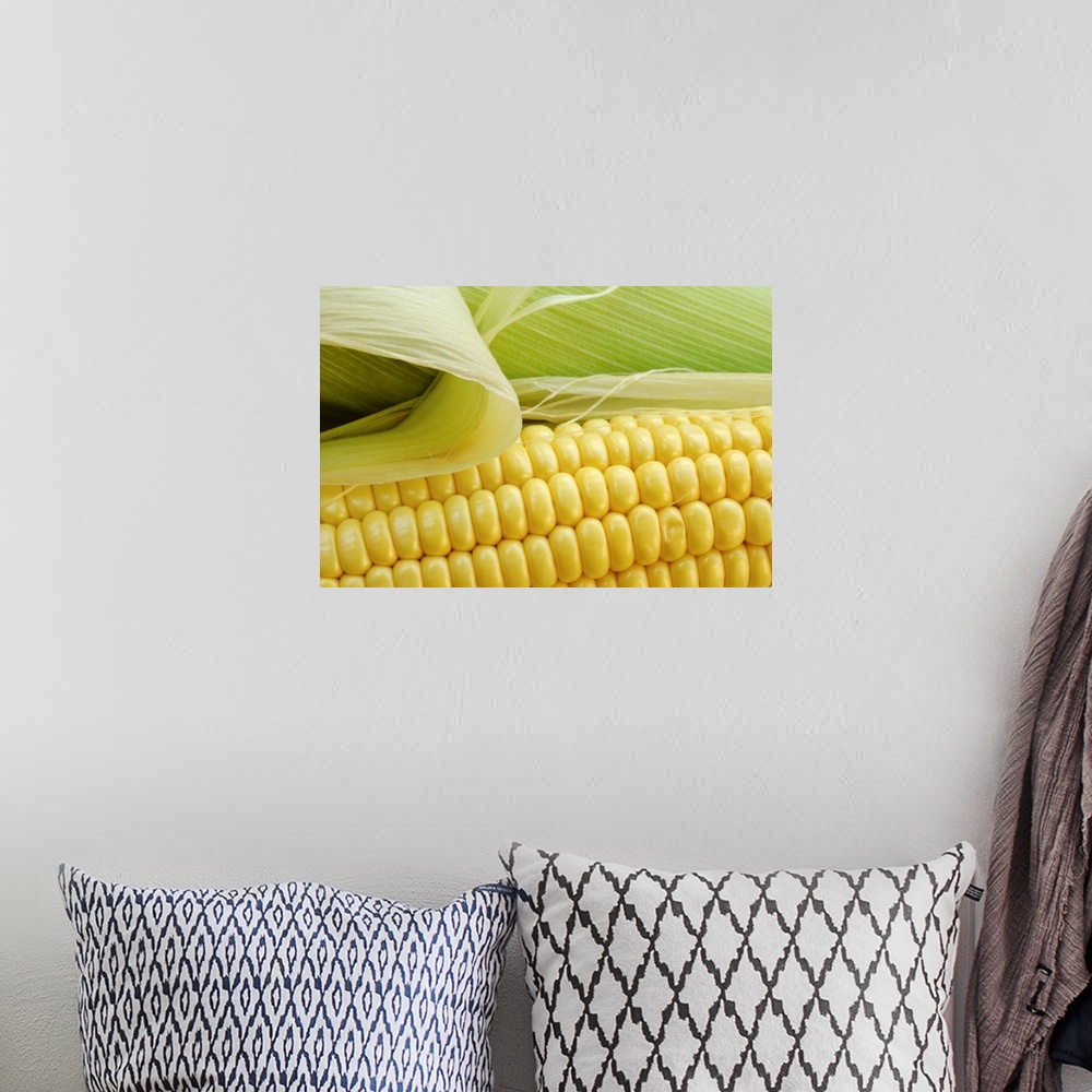 A bohemian room featuring Close up of corn