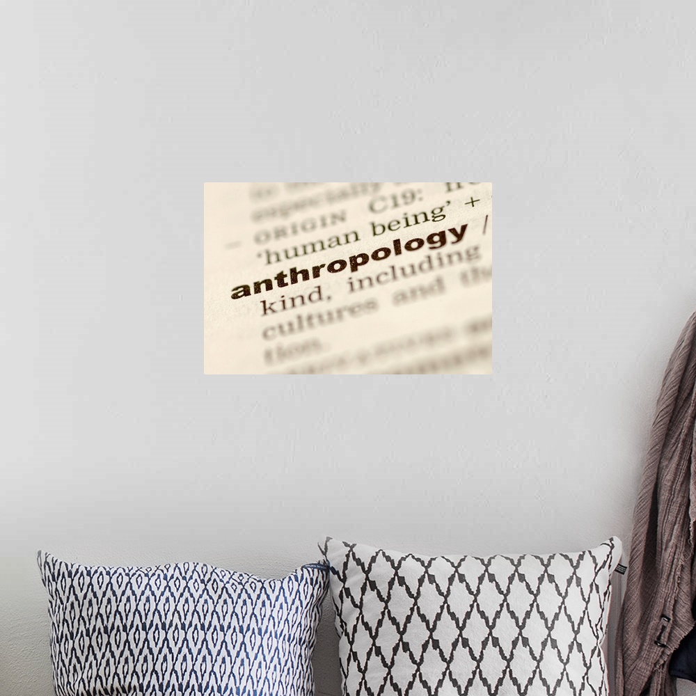 A bohemian room featuring Definition of anthropology