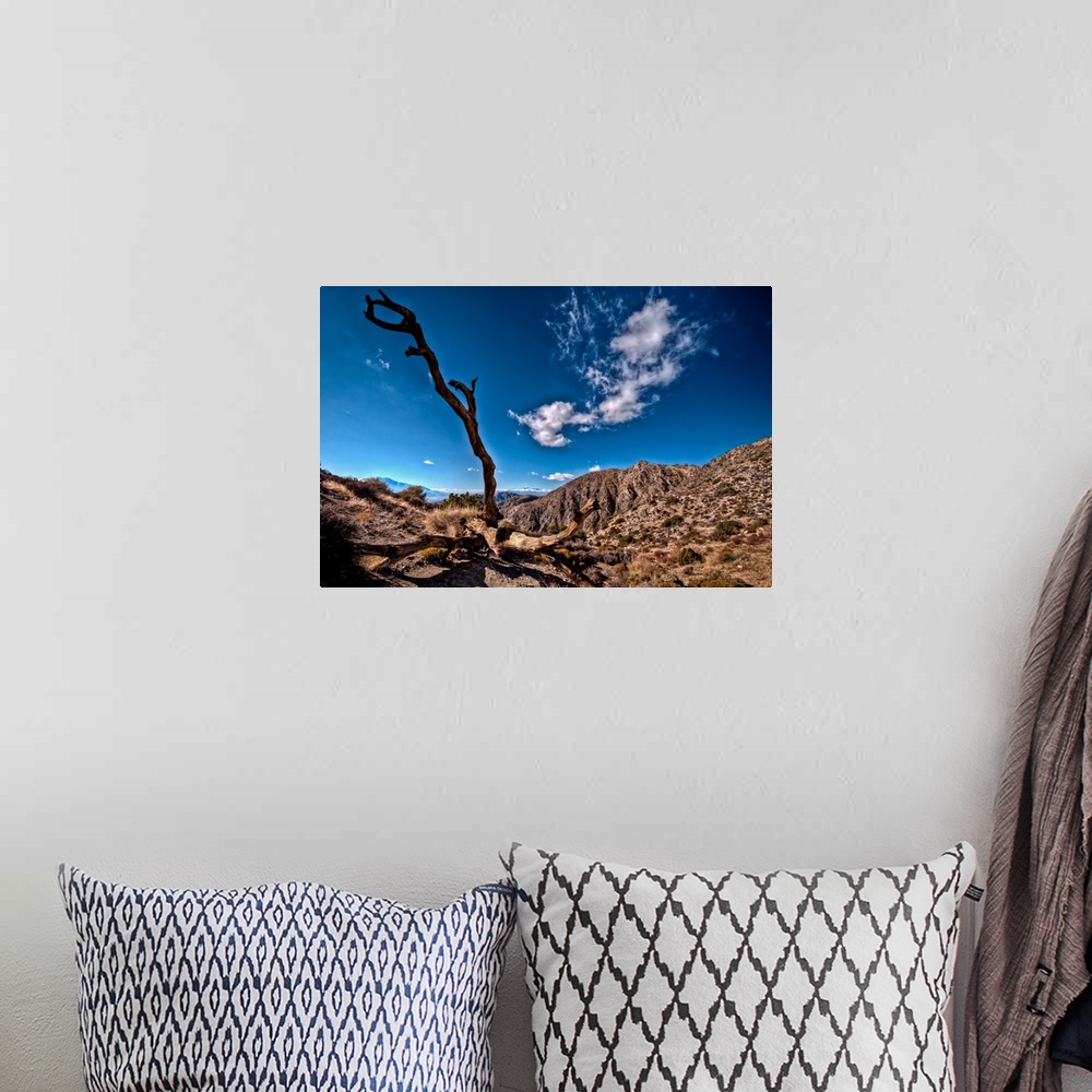 A bohemian room featuring View of deserted landscape against lonely tree with no leaves.