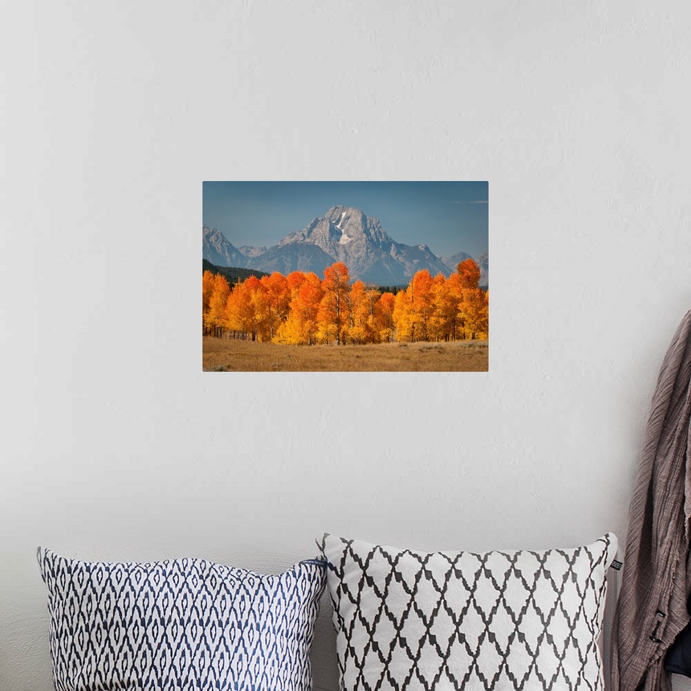 A bohemian room featuring Autumn colors arrive at Oxbow Bend in Grand Teton National Park.
