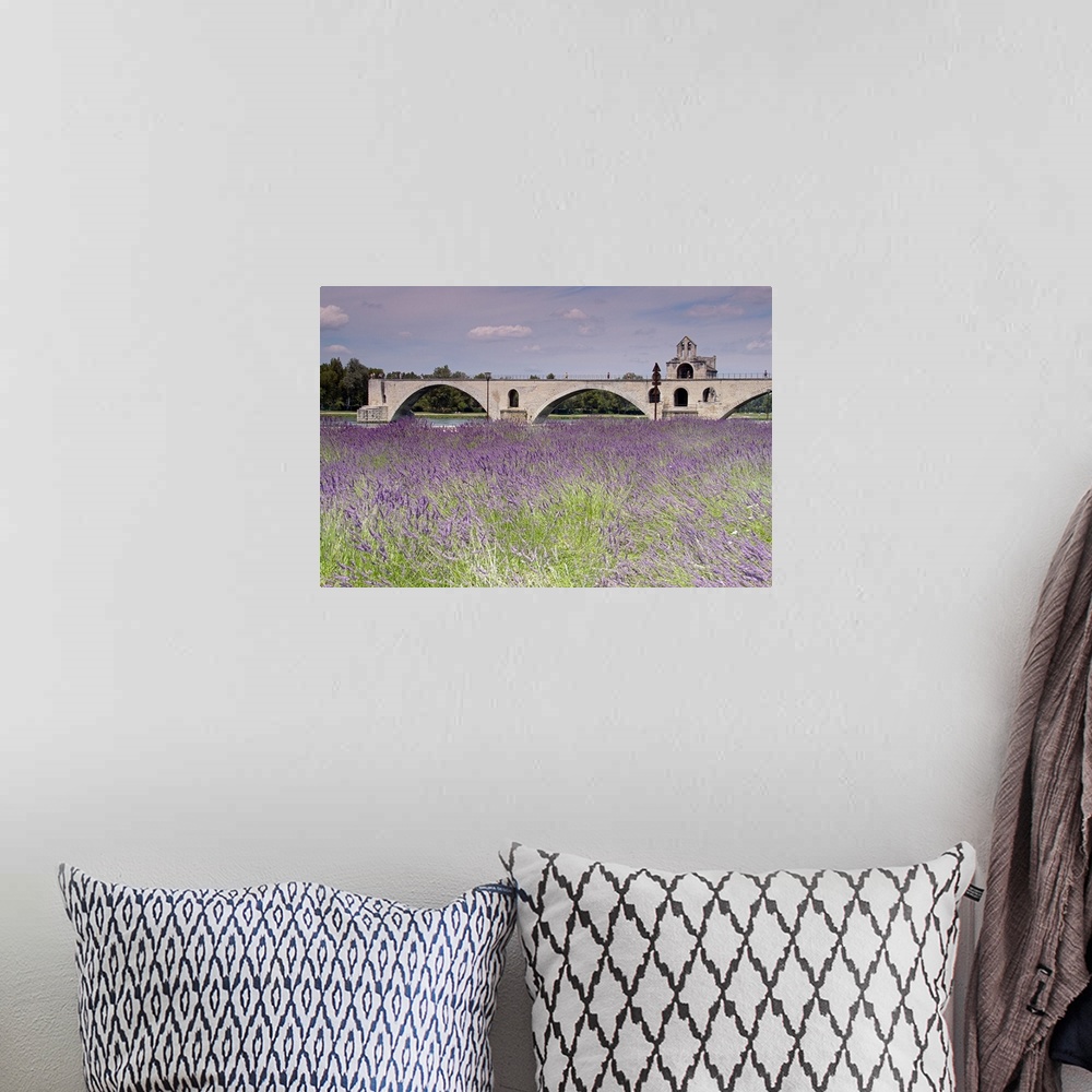A bohemian room featuring Field of lavenders, St. Benezet's Bridge, Rhone River, Avignon, Provence-Alpes-Cote d'Azur, France