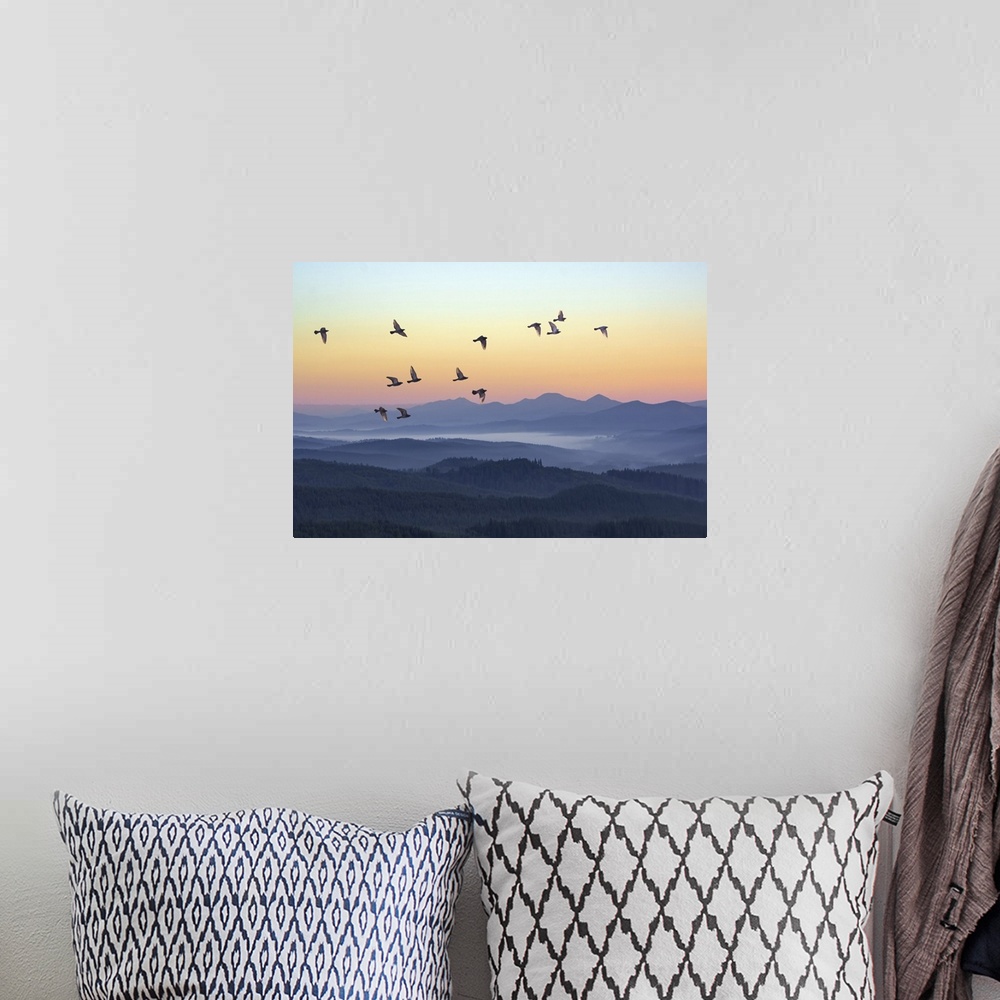 A bohemian room featuring Foggy morning in the mountains with flying birds over silhouettes of hills.