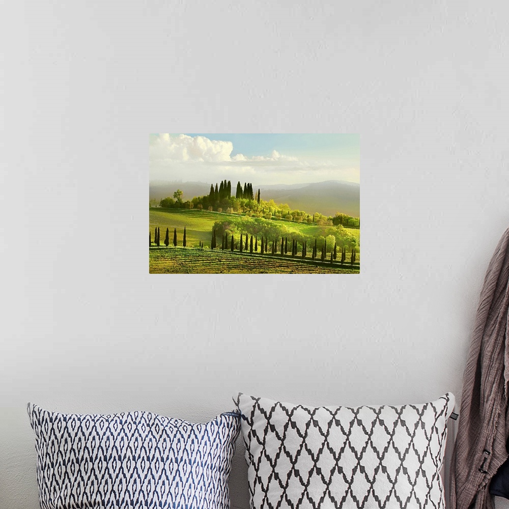 A bohemian room featuring Artwork done of a massive field in Italy that is covered with several types of trees and a large ...