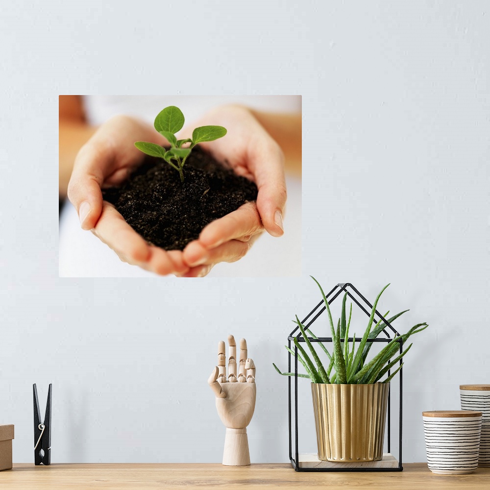 A bohemian room featuring Hands holding sapling