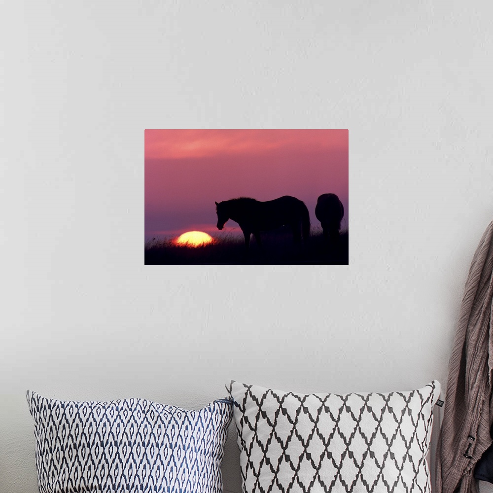 A bohemian room featuring horses at sunset