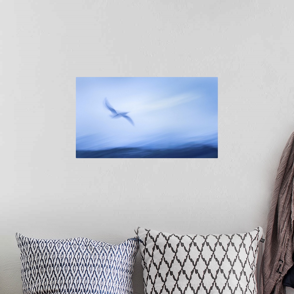 A bohemian room featuring Impressionism image of seagull flying above the sea waves. Image captured using intentional camer...