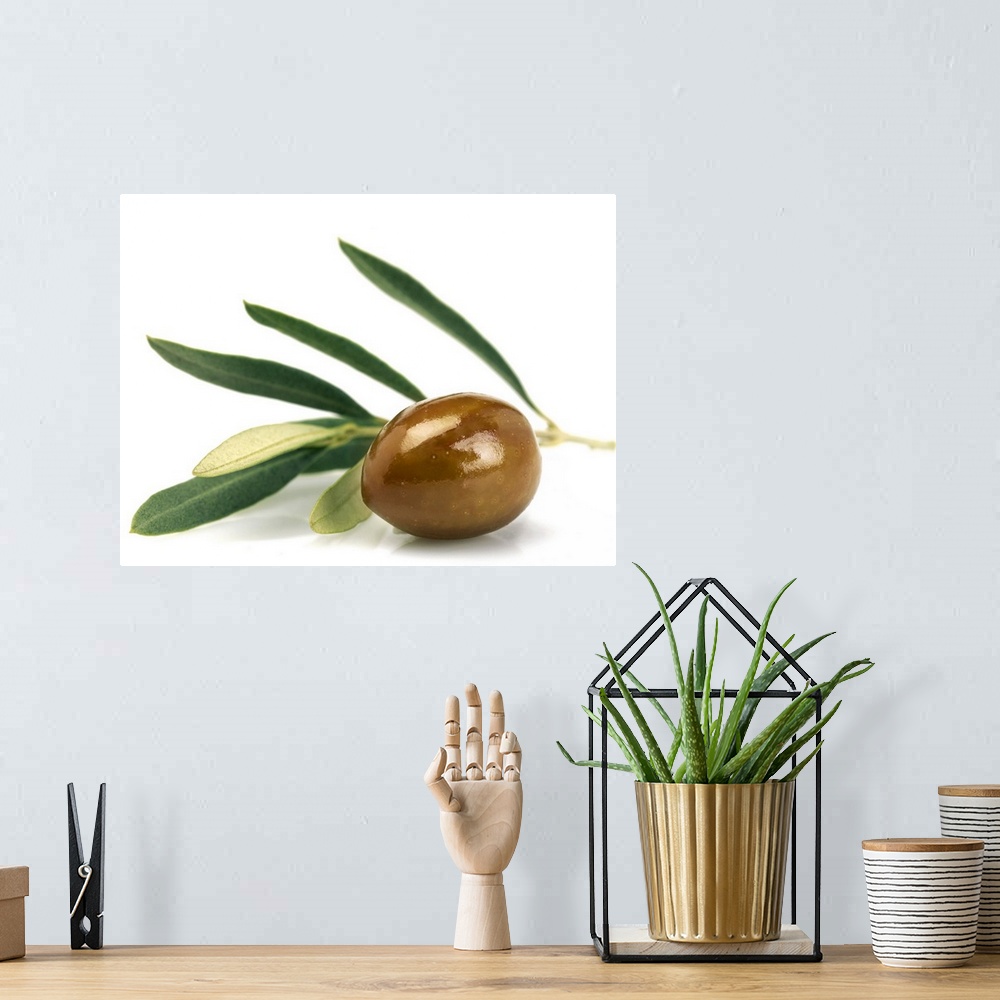 A bohemian room featuring Green olive with leaves shot on white background. Studio shot, horizontal frame.