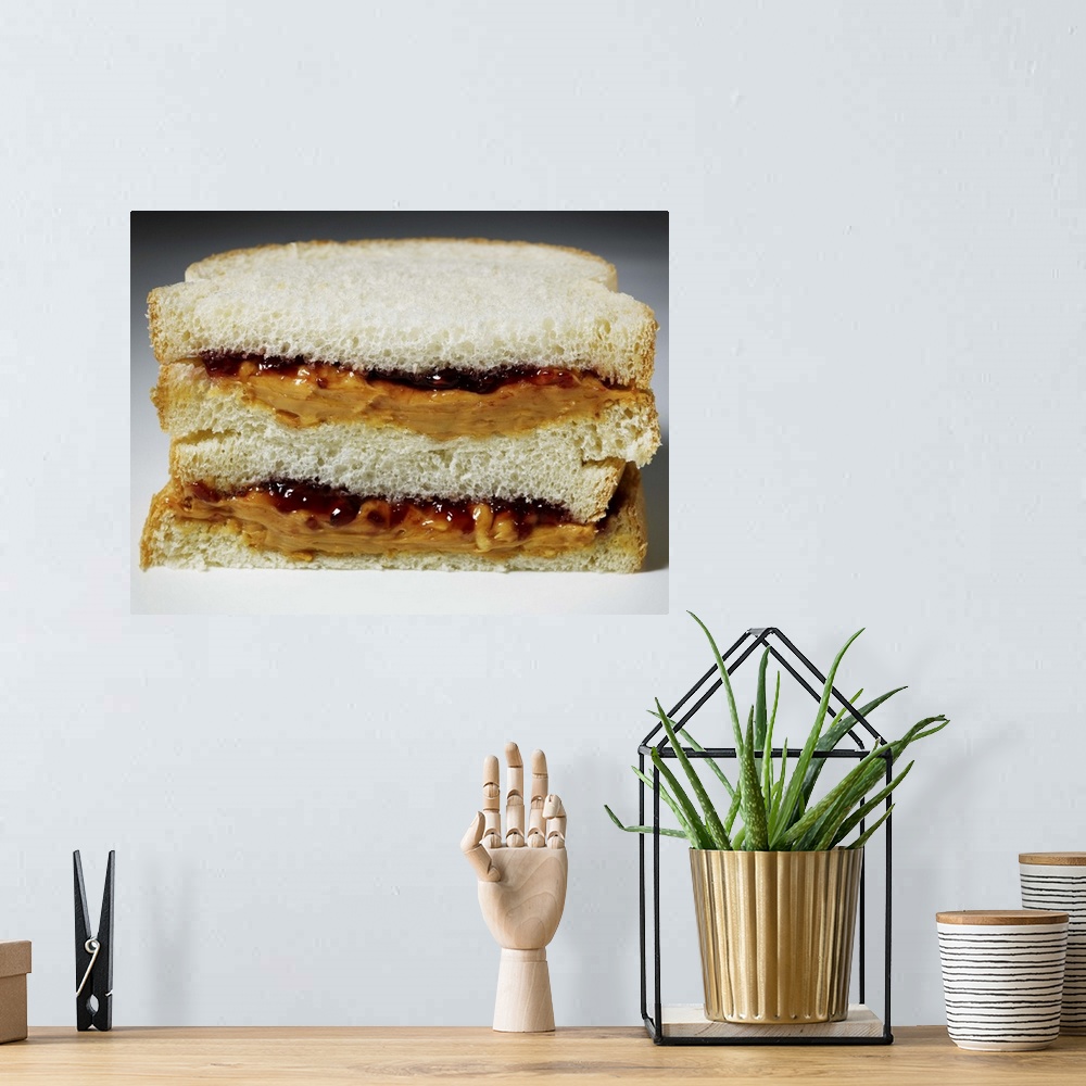 A bohemian room featuring Peanut butter and jelly sandwich.