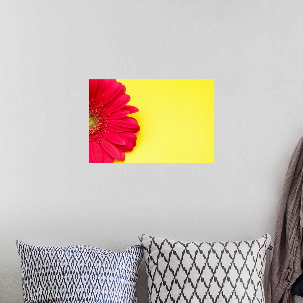 A bohemian room featuring Pink gerbera daisy on yellow background.