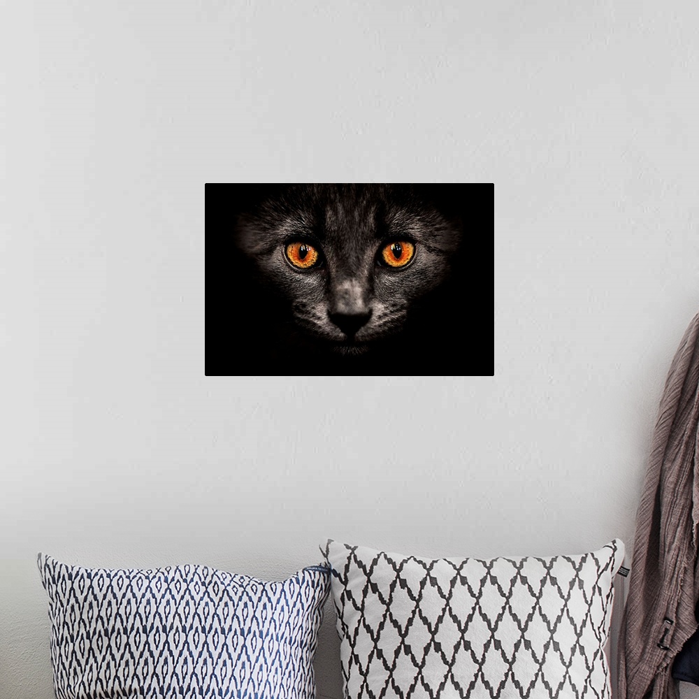 A bohemian room featuring Portrait cat on dark.