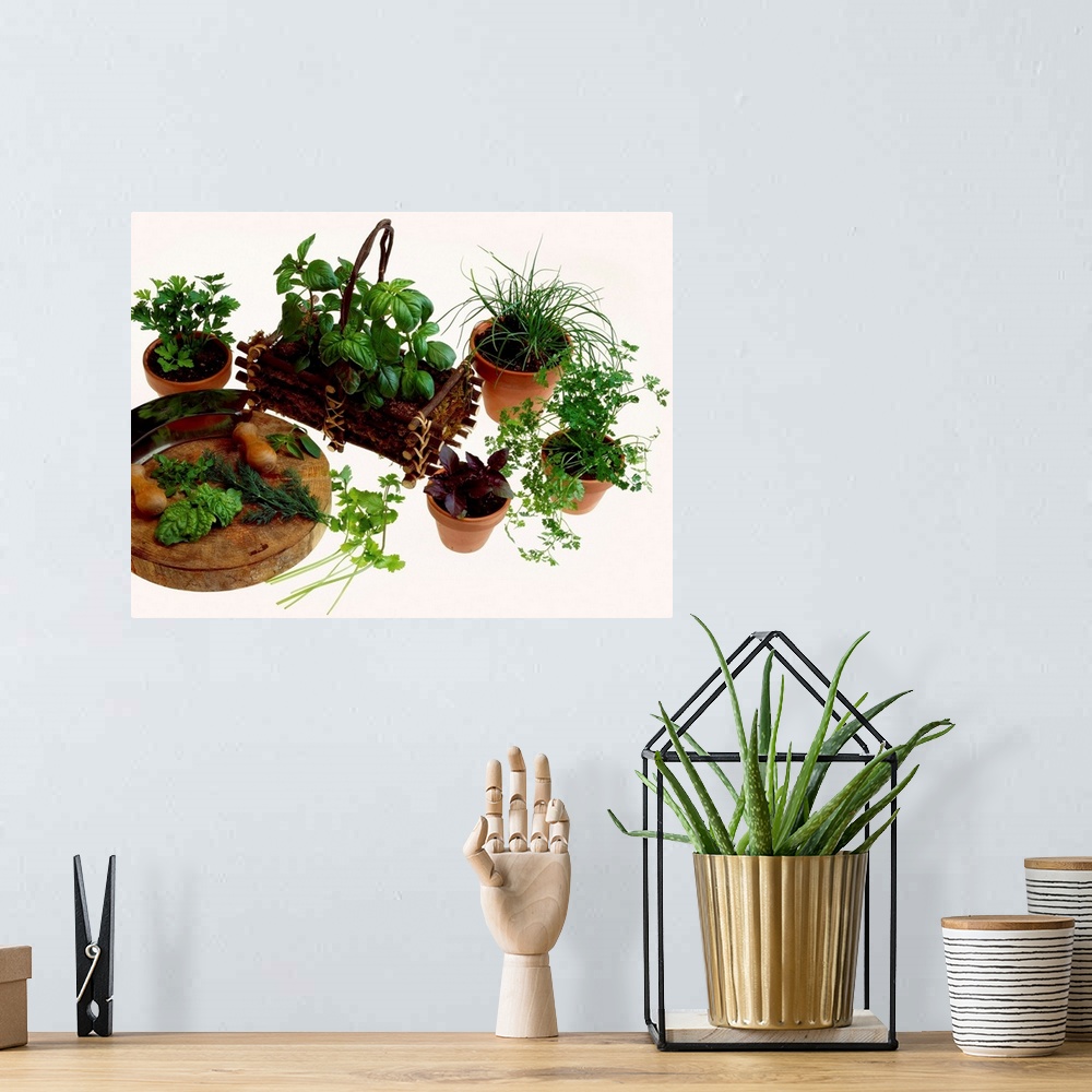 A bohemian room featuring Potted herbs