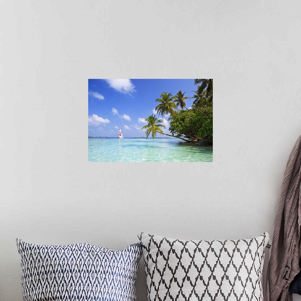 A bohemian room featuring Big, landscape photograph of palm trees swaying over the clear blue waters of the Indian Ocean.  ...