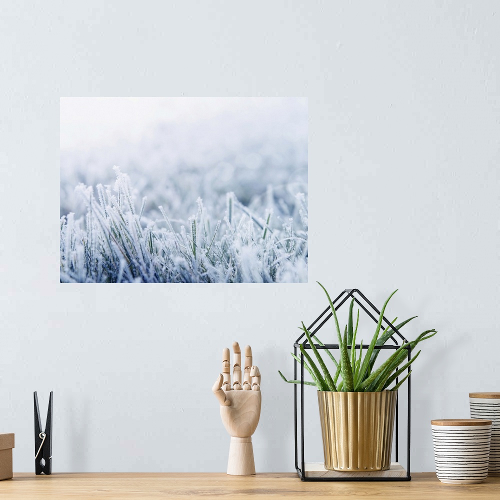 A bohemian room featuring Morning frost on blue grass.