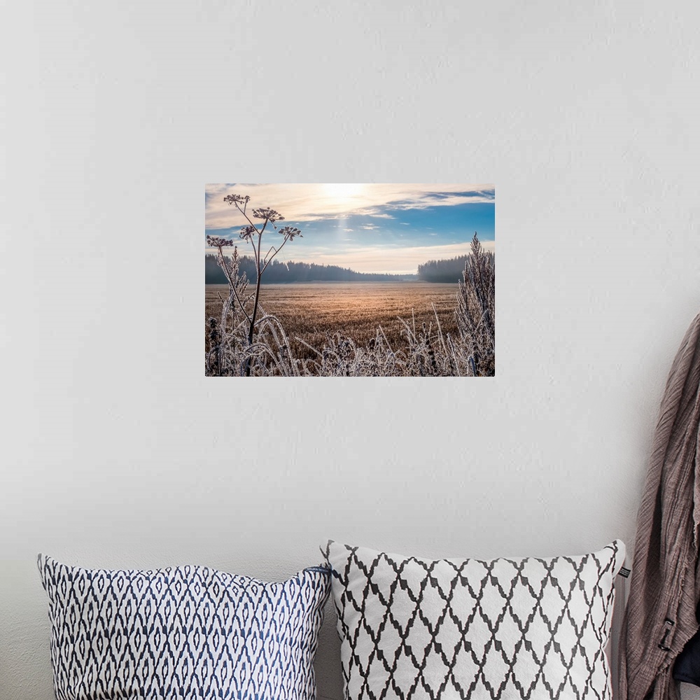 A bohemian room featuring Scenic and bright landscape with sunrise on a frosty autumn morning.