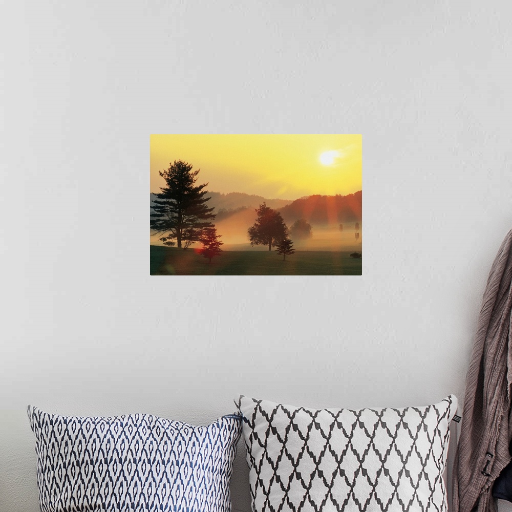 A bohemian room featuring Sunrise over rural landscape with fog