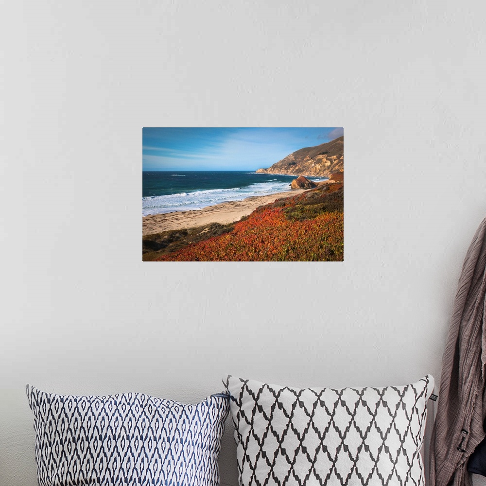 A bohemian room featuring USA, California, Big Sur, Red plants by beach