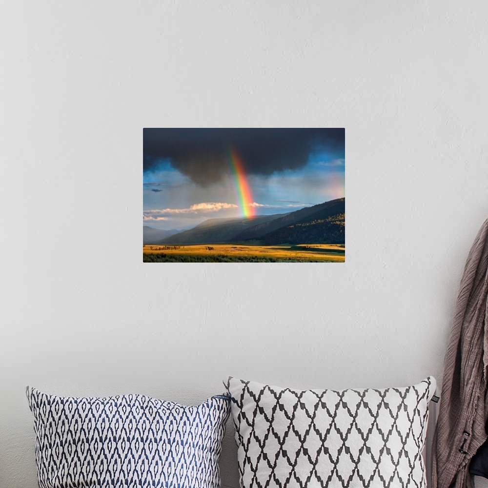 A bohemian room featuring Very intensive rainbow in part of Lamar Valley in Yellowstone, NP.