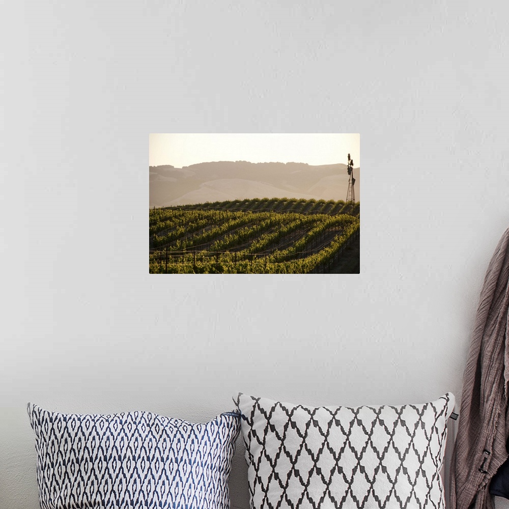 A bohemian room featuring Vineyards and windmill near Sonoma, CA.