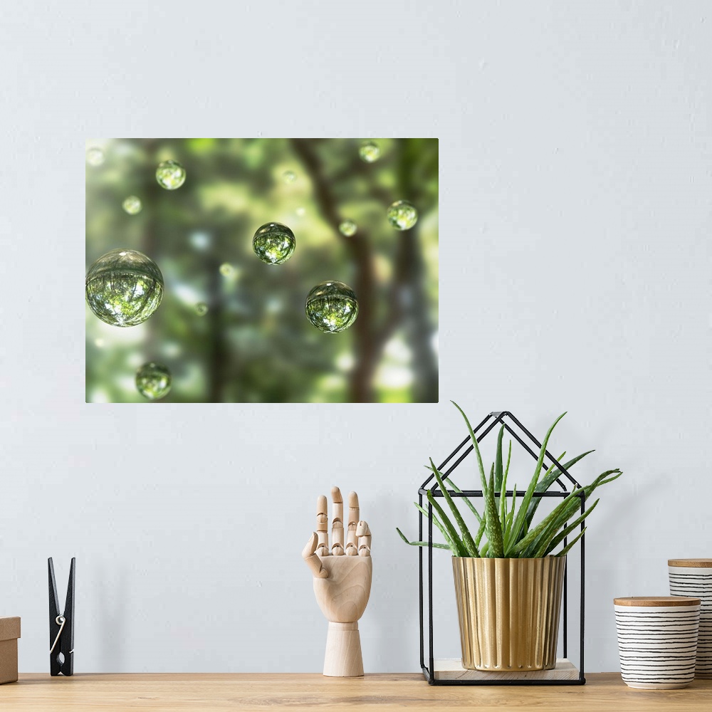 A bohemian room featuring Water drops in the forest