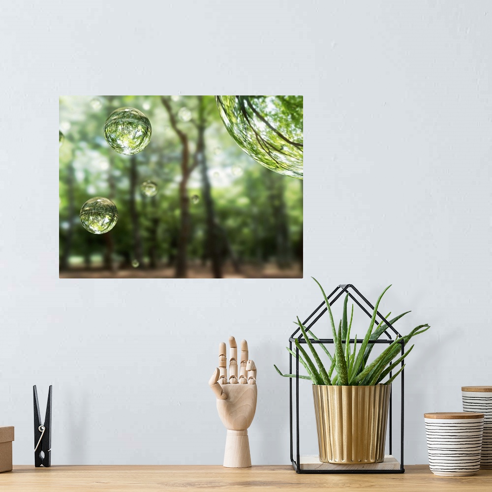 A bohemian room featuring Water drops in the forest