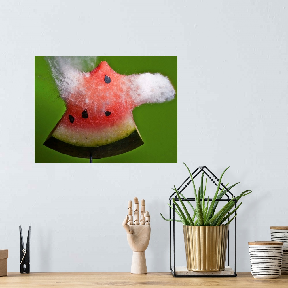 A bohemian room featuring A slice of watermelon explodes in a spray from a high speed impact.