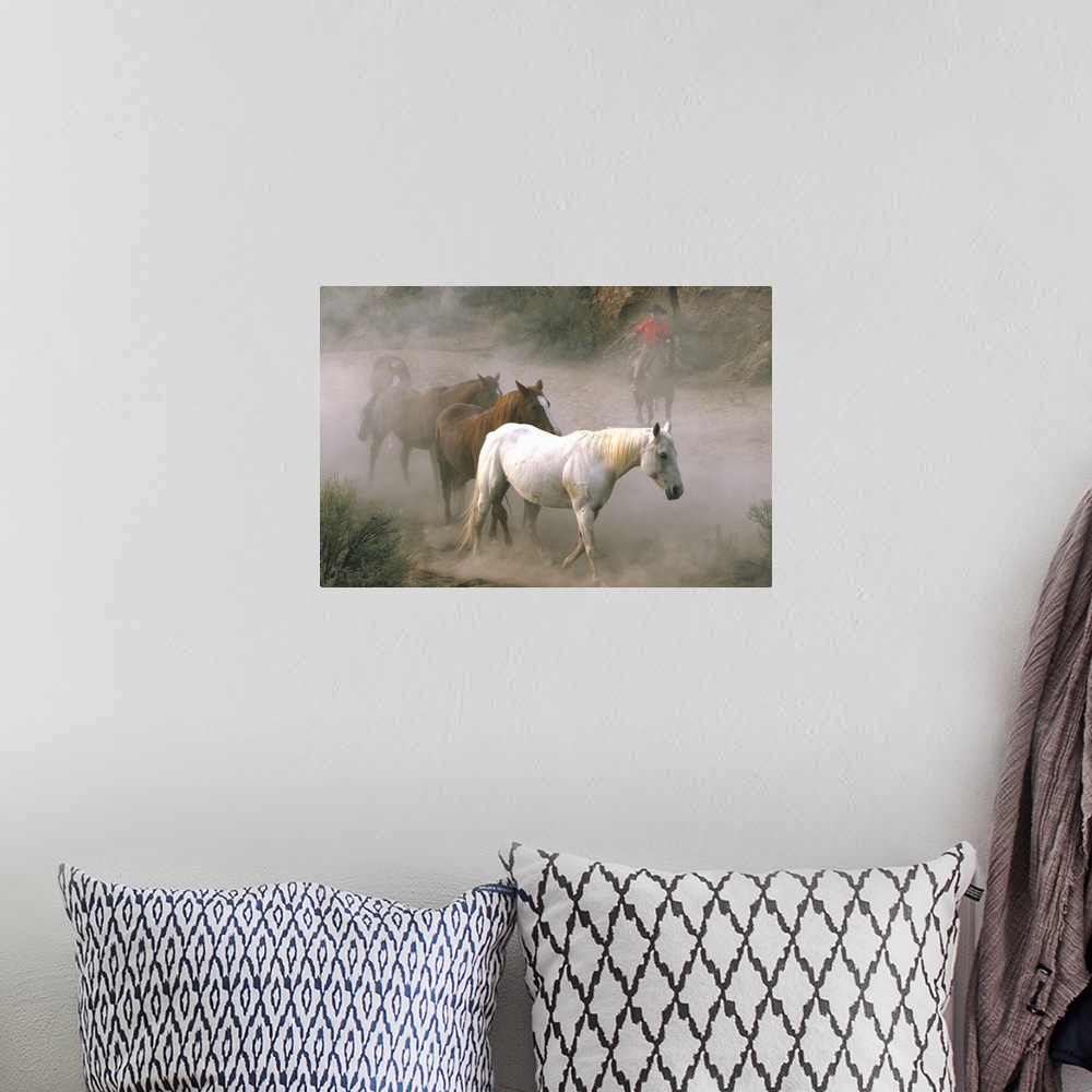 A bohemian room featuring Wrangler With Horses