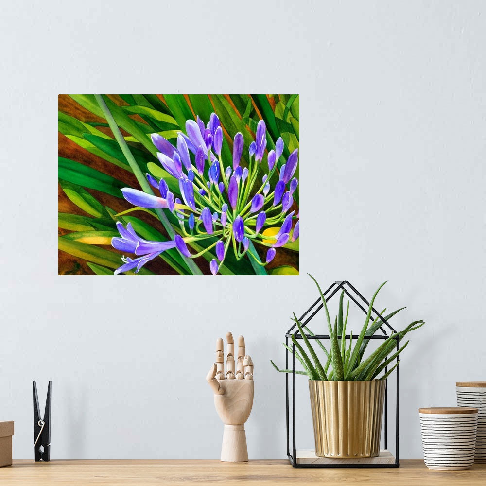 A bohemian room featuring Agapanthus