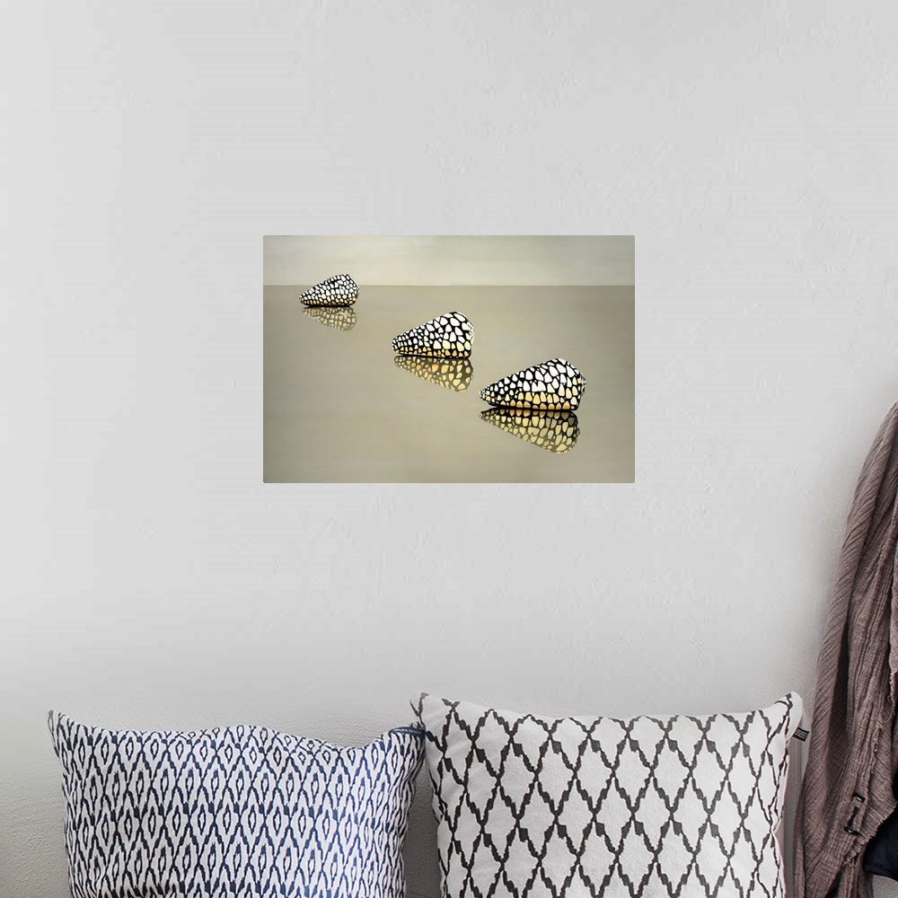 A bohemian room featuring Three spotted shells on a reflective surface.