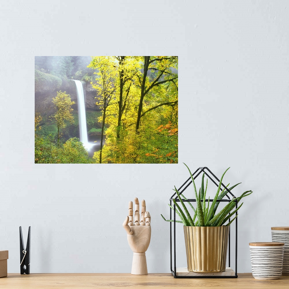 A bohemian room featuring A waterfall in a misty forest with tall trees.