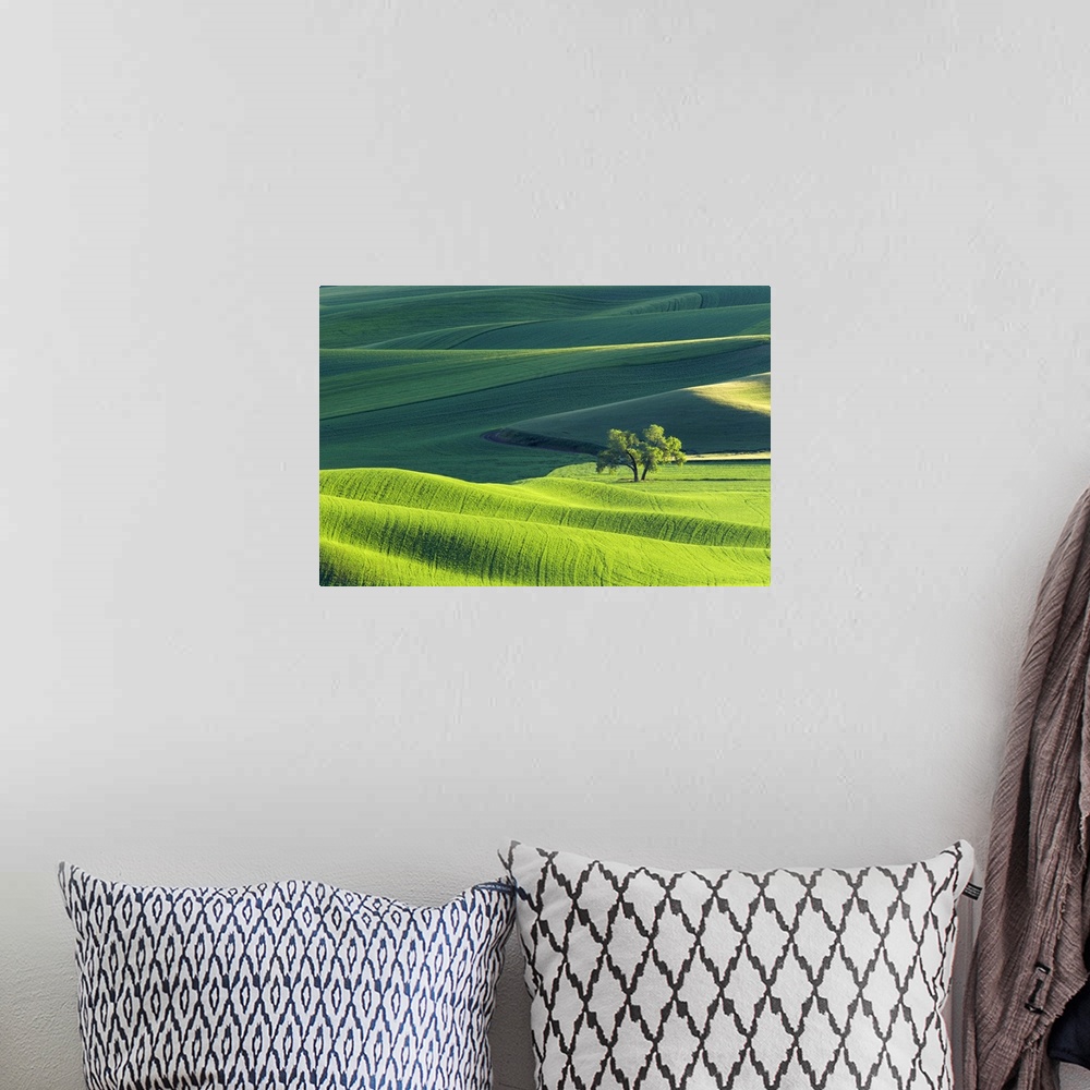 A bohemian room featuring Fine art photo of the rolling green hills of Palouse, Washington.