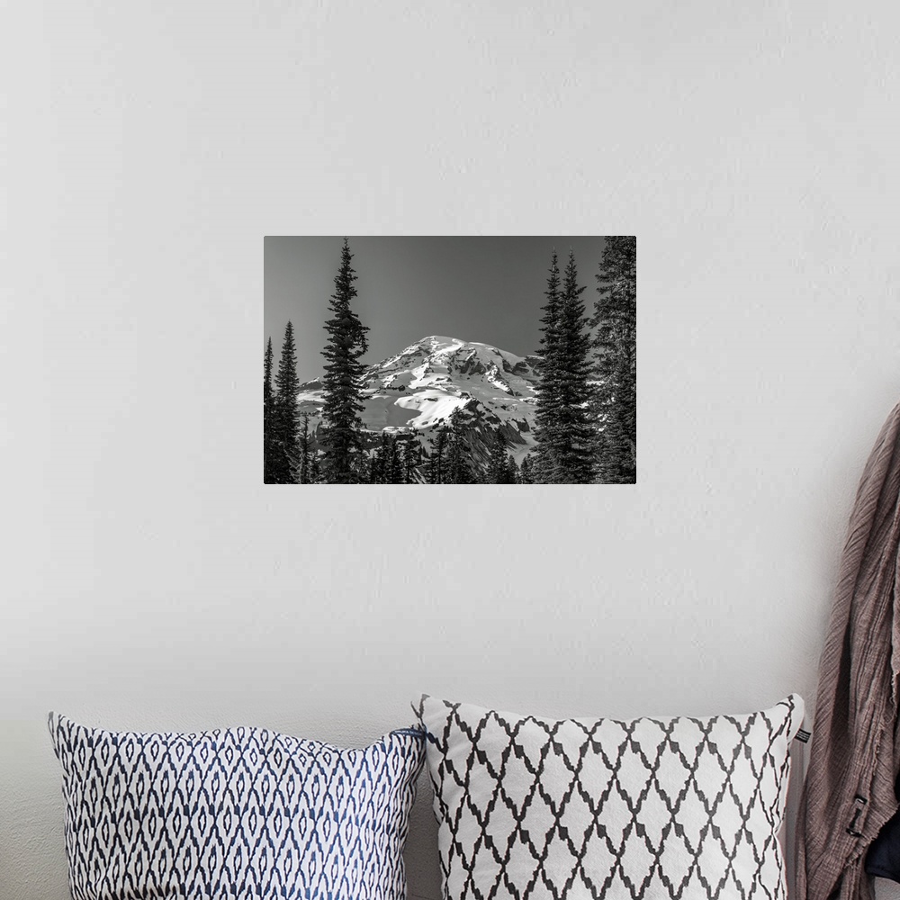 A bohemian room featuring Through the Forest, Mount Rainier