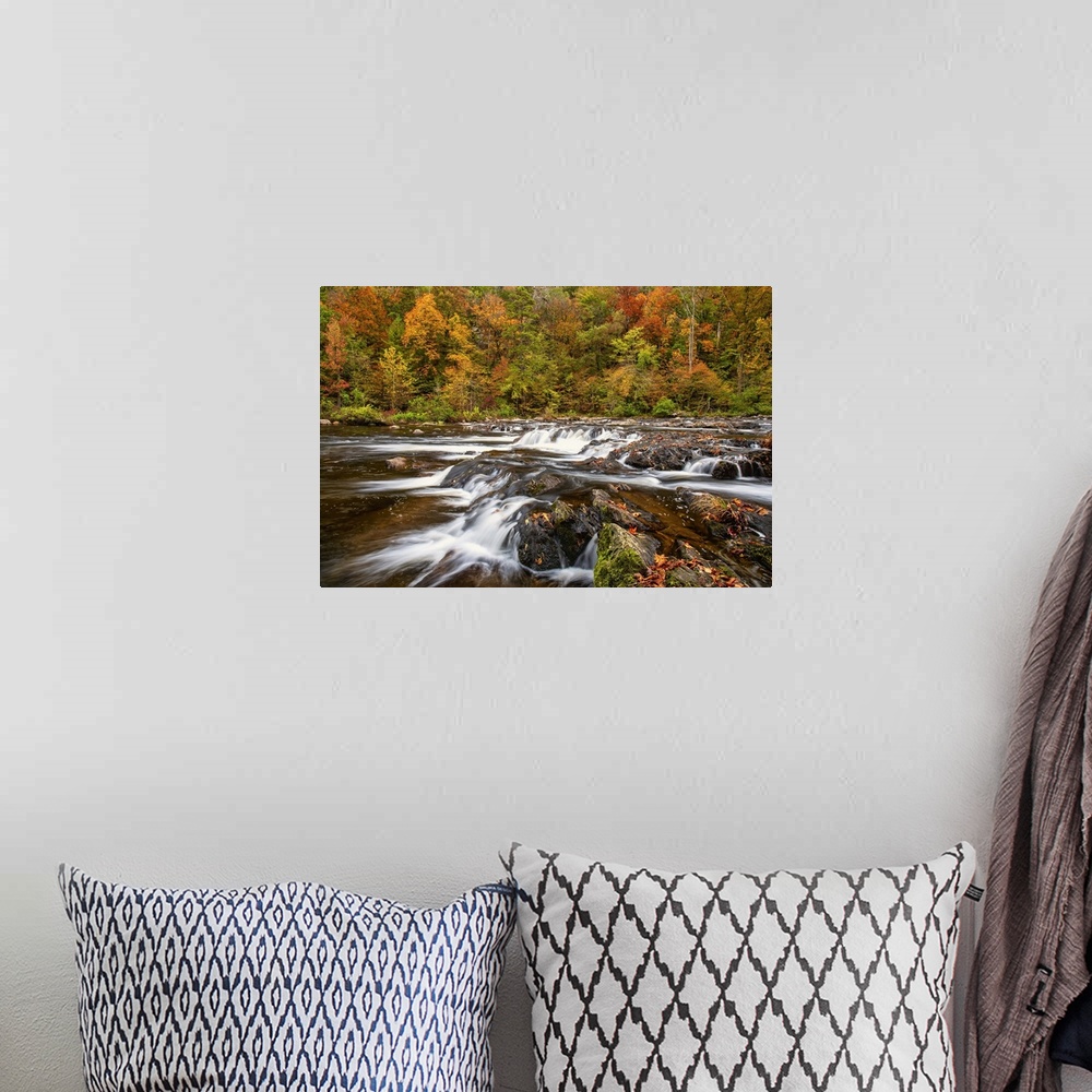 A bohemian room featuring Autumn colors paint the banks along Tennessee's Tellico River, one of the last remaining true wil...