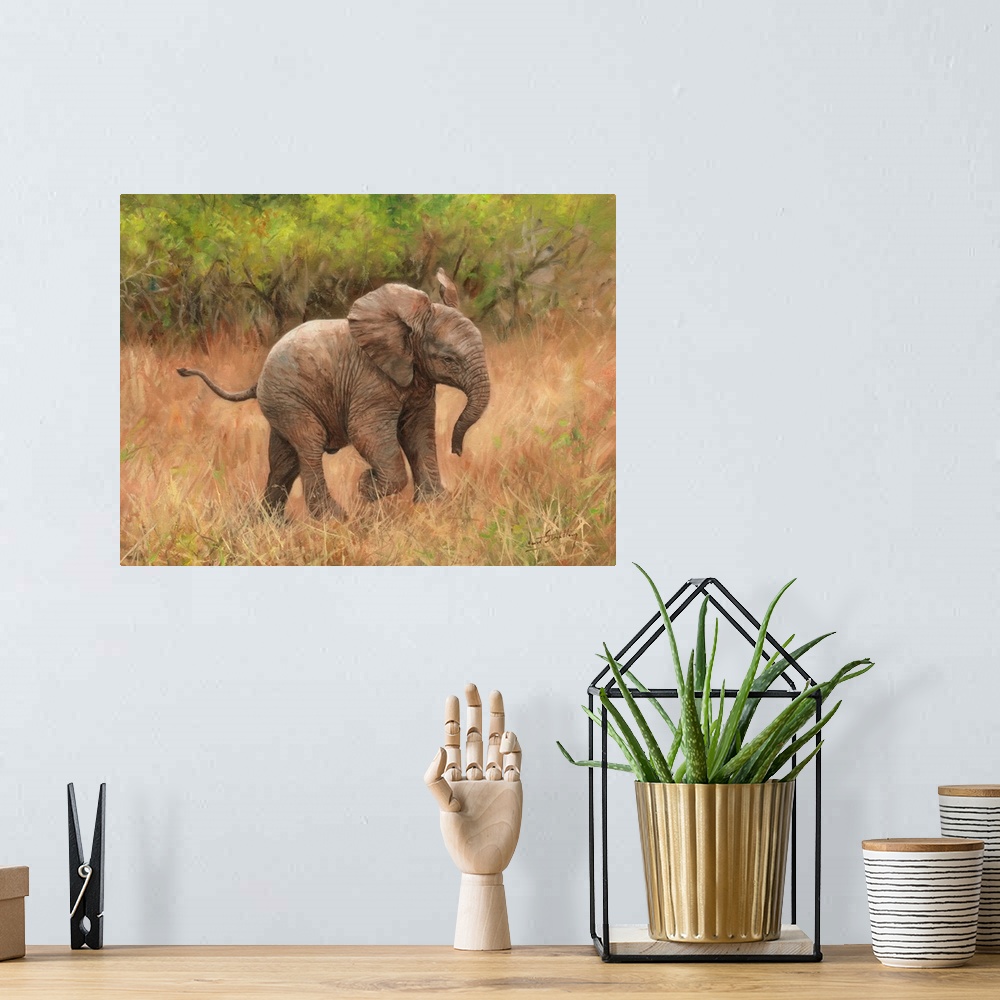 A bohemian room featuring Baby African Elephant